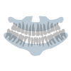 Denture X-ray